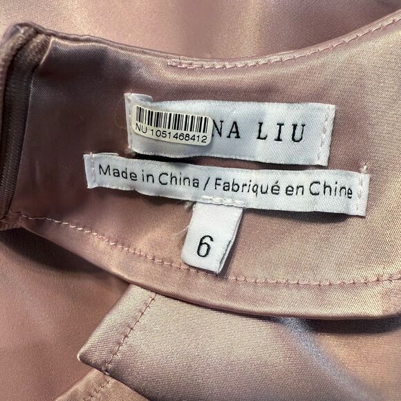 Allina Liu Calla Satin Slip Dress Size 6 Pink Lace Insets Open Back Tie Midi EUC - Picture 15 of 16